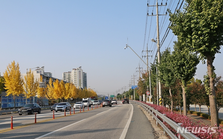 [증평=뉴시스] 강신욱 기자 = 27일 충북 증평군 증평읍을 지나는 36번 국도 양쪽에 심어진 은행나무 가로수가 한쪽은 노랗게 물들었고, 다른 한쪽은 여전히 푸르름을 유지해 극명한 대조를 보이고 있다. 2022.10.27. ksw64@newsis.com 