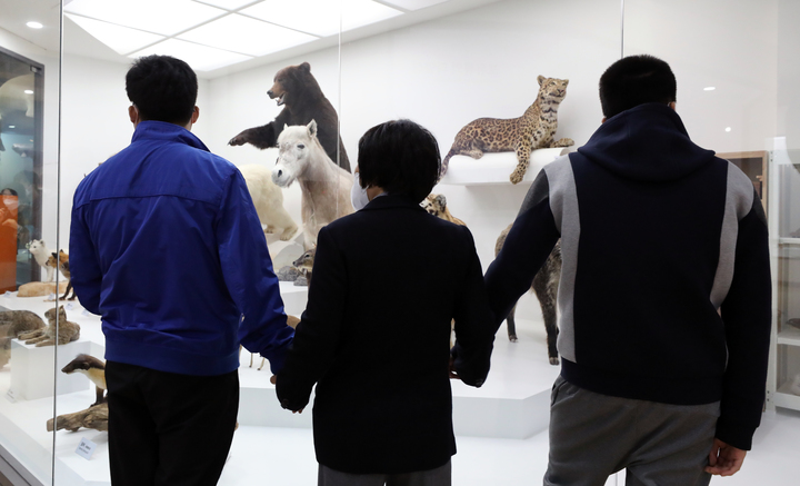 [서울=뉴시스] 김금보 기자 = 특수학교 학생들과 인솔교사가 서울 서대문구 서대문자연사박물관에서 공룡화석 등 전시물을 관람하고 있다. 2022.10.27. kgb@newsis.com