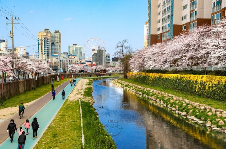 [울산=뉴시스] 울산 남구 도심지역을 관통하는 여천천 산책로 전경. (사진=울산 남구 제공) photo@newsis.com *재판매 및 DB 금지