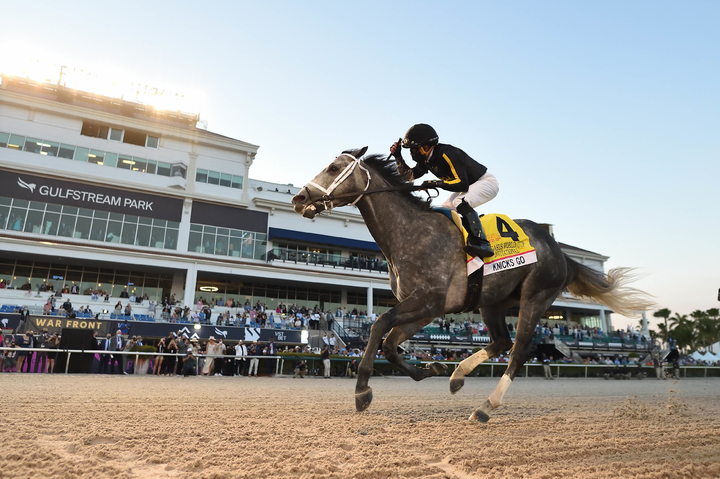 마사회 창원지사, 세계최고 경주마 닉스고(Knicks-Go) 사진전&nbsp; *재판매 및 DB 금지