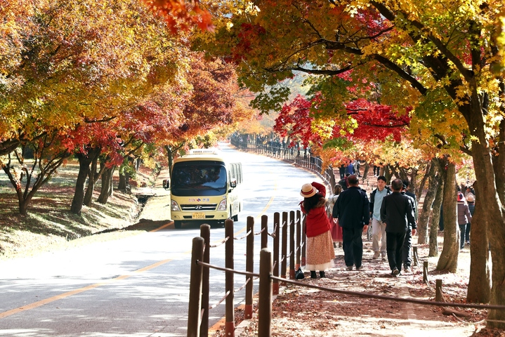 관광객들을 맞은 내장산 국립공원. *재판매 및 DB 금지