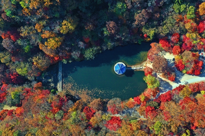 하늘에서 본 내장산 단풍과 우화정. *재판매 및 DB 금지