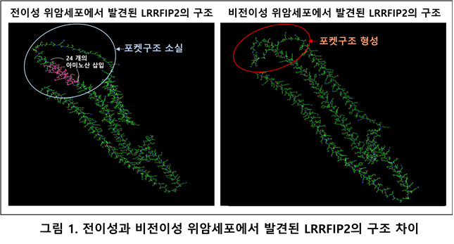 사진=메드팩토 제공 *재판매 및 DB 금지