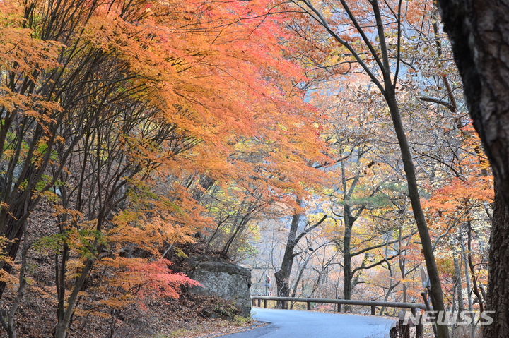 [합천=뉴시스] 김기진 기자 = 경남 합천군 가야산국립공원 입구. 2022.11.03. sky@newsis.com 