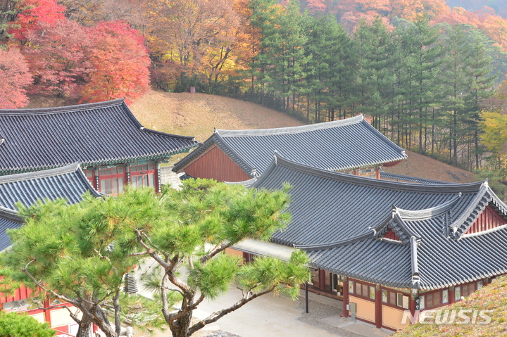 [합천=뉴시스] 김기진 기자 =3일 경남 합천 해인사 원당암 앞 가야산에 가을이 물들고 있다. 2022.11.03. sky@newsis.com 