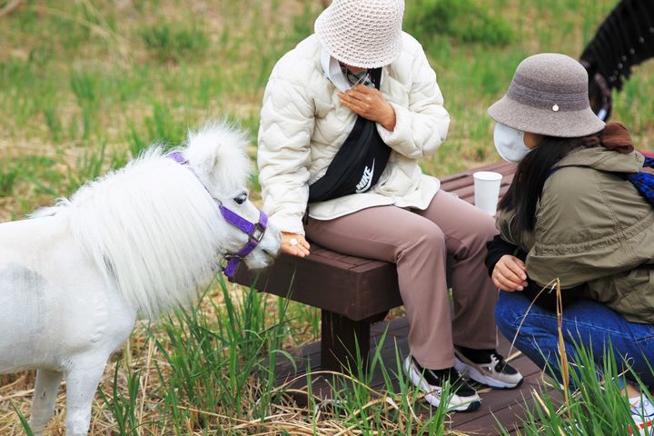 [부산=뉴시스] 한국마사회 부산경남본부, 홀스테라피 행사 모습. (사진=한국마사회 부경본부 제공) *재판매 및 DB 금지