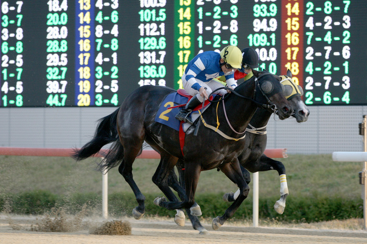 [부산=뉴시스] 6일 렛츠런파크 부산경남에서 열린 '제4회 김해시장배'에서 2번 '판타스틱킹덤'이 결승선을 통과하고 있다. 경주 기록은 1분 13초 1이다. (사진=한국마사회 부경본부 제공) *재판매 및 DB 금지