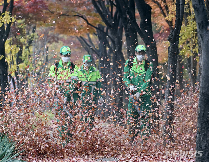 [수원=뉴시스] 김종택 기자 = 7일 오후 경기도 수원시 영통구 매탄3동 가로수길에서 환경관리원들이 전동송풍기를 이용해 수북히 쌓인 낙엽을 청소하고 있다. 2022.11.07. jtk@newsis.com