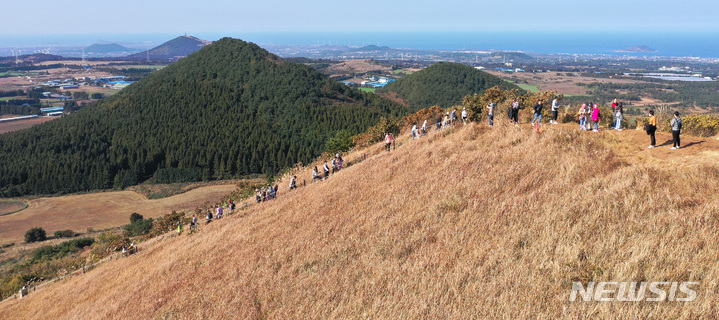 [제주=뉴시스] 우장호 기자 = 화창한 날씨를 보이는 8일 오전 제주시 애월읍 봉성리 새별오름 능선에 막바지 가을 정취를 느끼려는 관광객들의 발걸음이 이어지고 있다. 2022.11.08. woo1223@newsis.com