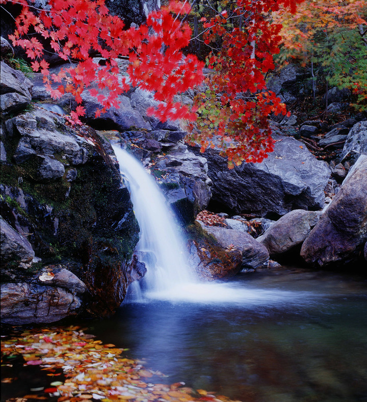 광양 백운산 병암폭포 *재판매 및 DB 금지