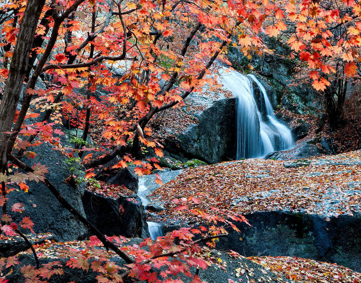 광양 백운산 단풍과 병암폭포 *재판매 및 DB 금지