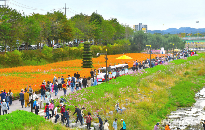 [장성=뉴시스] 장성 황룡강 가을꽃축제 찾은 방문객들. (사진=장성군 제공) 2022.11.10. photo@newsis.com