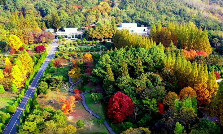 [나주=뉴시스] 전남산림자원연구소 (사진=전남도 제공) 2022.11.10. photo@newsis.com *재판매 및 DB 금지