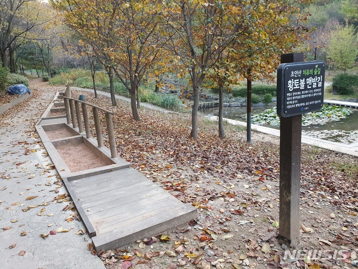 [서울=뉴시스]서울시가 동북권에 '맞춤형 산림여가공간' 조성을 추진한다. 사진은 초안산 치유의 숲. (사진=서울시 제공). 2022.11.12. photo@newsis.com 