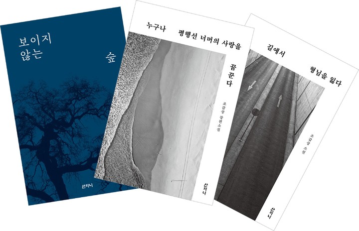 [서울=뉴시스] 조갑상 소설가 저서 (사진=산지니 제공) 2022.11.15. photo@newsis.com *재판매 및 DB 금지