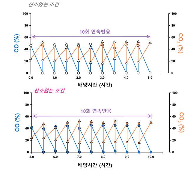 [대전=뉴시스] 제철 폐부생가스 LDG유래 일산화탄소 전환반응도. 개발된 일산화탄소 전환효소 성능을 폐가스 LDG를 이용해 산소유무에 따른 반복테스트 결과, 산소에 상관없이 안정적으로 재사용이 됐고 일산화탄소 전환능력이 잘 유지됨을 확인했다.&nbsp; *재판매 및 DB 금지