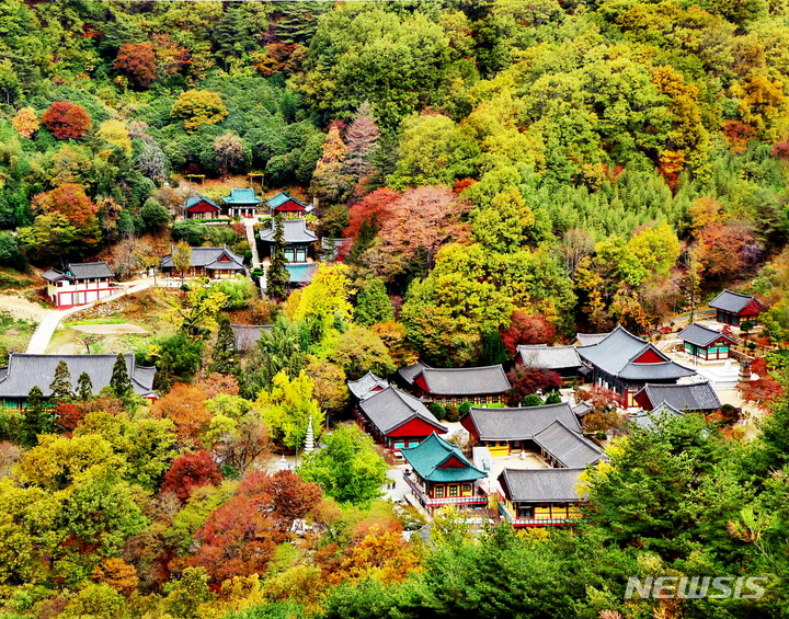 경남 하동군 쌍계사