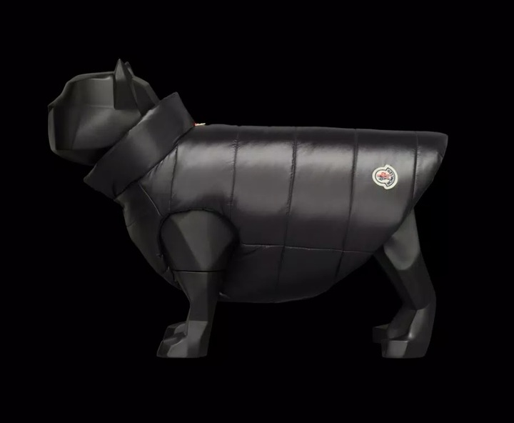 [서울=뉴시스] 몽클레르가 반려견용 명품 패딩을 선보였다고 영국 데일리미러가 15일(현지시간) 보도했다 (사진출처: 몽클레르 홈페이지 캡처) 2022.11.16. *재판매 및 DB 금지