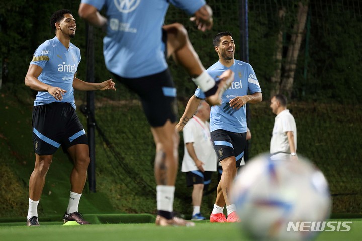 [도하(카타르)=뉴시스] 백동현 기자 = 우루과이 축구대표팀 선수들이 19일(현지시간) 오후 카타르 도하 알 에르살 트레이닝센터에서 훈련하고 있다. 2022.11.20. livertrent@newsis.com