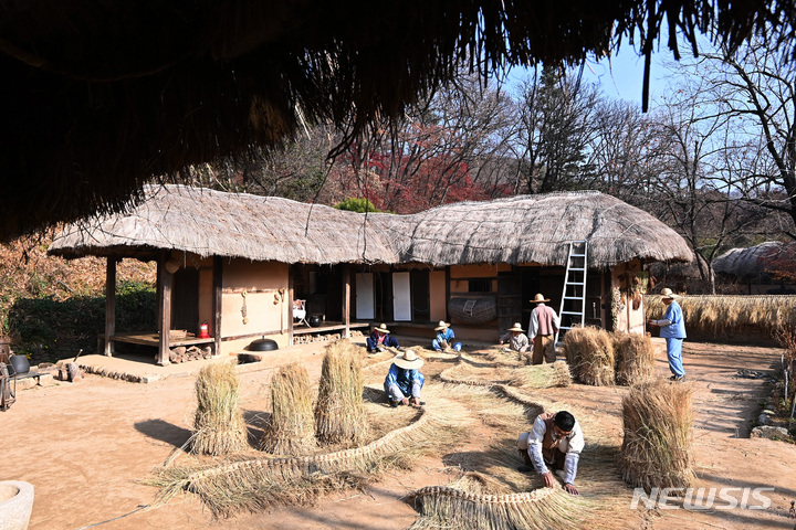 [용인=뉴시스] 김종택 기자 = 절기상 소설(小雪)을 하루 앞둔 21일 오전 경기도 용인 한국민속촌에서 관계자들이 초가지붕에 올릴 용마름과 이엉 잇기 작업을 하며 겨울을 준비하고 있다. 2022.11.21. jtk@newsis.com