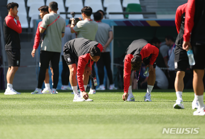 [도하(카타르)=뉴시스] 백동현 기자 = 대한민국 축구대표팀 선수들이 21일(현지시간) 오전 조별리그 세 경기가 모두 열리는 카타르 도하 에듀케이션 시티 스타디움을 찾아 잔디 상태를 확인하고 있다. 2022.11.21 livertrent@newsis.com