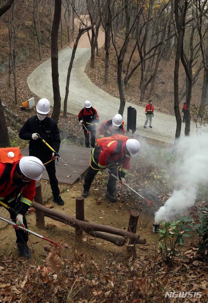 [부산=뉴시스] 하경민 기자 = 산불진화 합동훈련이 열린 22일 부산 기장군 산불대응센터 인근에서 진화대원들이 가상의 산불을 진화하고 있다. 이날 훈련은 산불 재난대응능력 향상과 유관기관과의 협업체계 강화를 위해 부산시와 산림청, 부산소방재난본부, 기장군, 해운대구 등의 진화인력 50여 명이 참여했다. 2022.11.22. yulnetphoto@newsis.com