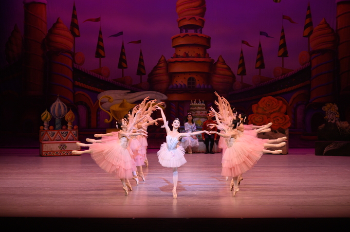[서울=뉴시스]와이즈발레단의 '호두까기인형' 공연 사진. (사진=마포아트센터 제공) 2022.11.23. photo@newsis.com *재판매 및 DB 금지