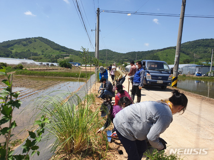[무안=뉴시스] 귀농산어촌 어울림마을 조성사업 활동 모습. (사진=전남도 제공) 2022.11.23. photo@newsis.com
