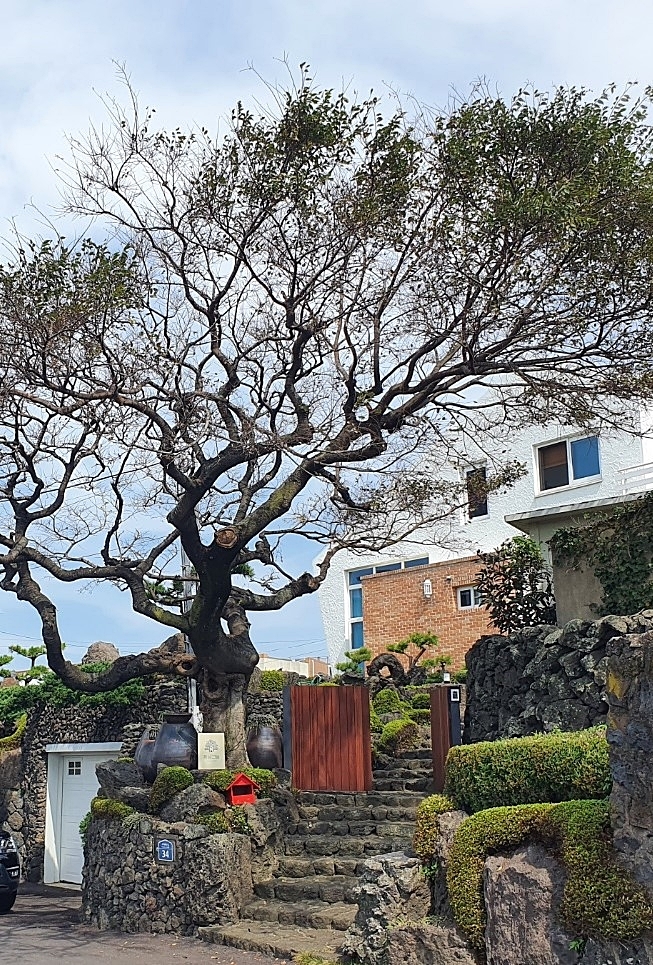 [제주=뉴시스] 2022년 '곱들락한 집'에 선정된 제주시 애월읍 고내리 주택. (사진=제주시 제공) 2022.11.24. photo@newsis.com *재판매 및 DB 금지