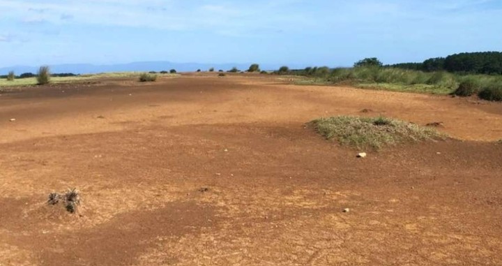 [서울=뉴시스]석기로 보이는 유물 발견 현장. (사진출처: 남일본신문) 2022.11.25. *재판매 및 DB 금지