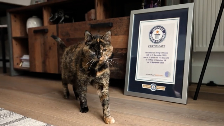 출처: Guinness world records *재판매 및 DB 금지