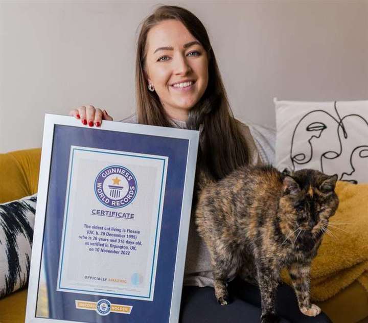 출처: Guinness world records *재판매 및 DB 금지