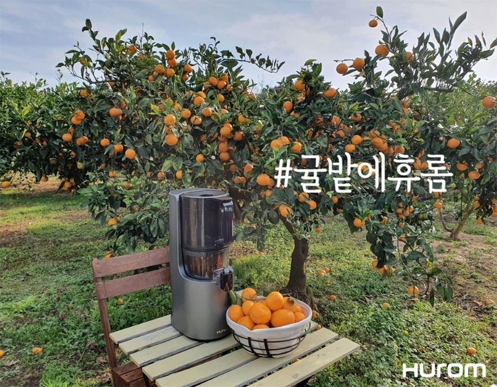 [서울=뉴시스] 휴롬 농가 협업 로컬 프로젝트 '귤밭에 휴롬' 이미지. (사진=휴롬 제공) 2022.11.27. photo@newsis.com *재판매 및 DB 금지