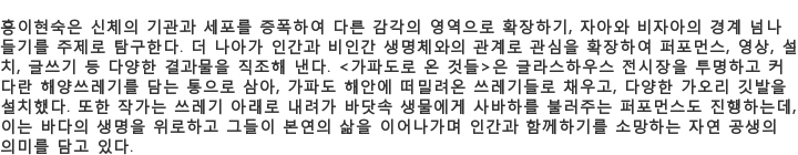 [제주비엔날레]가파도 바람 하늘 바다와 상생한 작품들