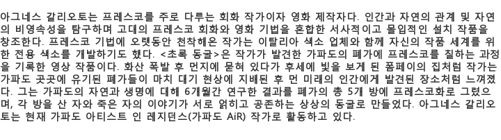 [제주비엔날레]가파도 바람 하늘 바다와 상생한 작품들