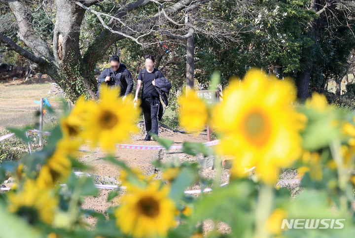 [제주=뉴시스] 우장호 기자 = 겨울비가 내리기 전 포근한 날씨를 보이는 28일 오후 제주시 항몽유적지에 여름꽃인 해바라기가 활짝 피어나 시선을 끌고 있다. 기상청에 따르면 이날 제주시 낮 최고기온은 27.4도를 기록, 관측이 시작된 1923년 이후 11월 중 가장 높은 기온을 나타냈다. 2022.11.28. woo1223@newsis.com