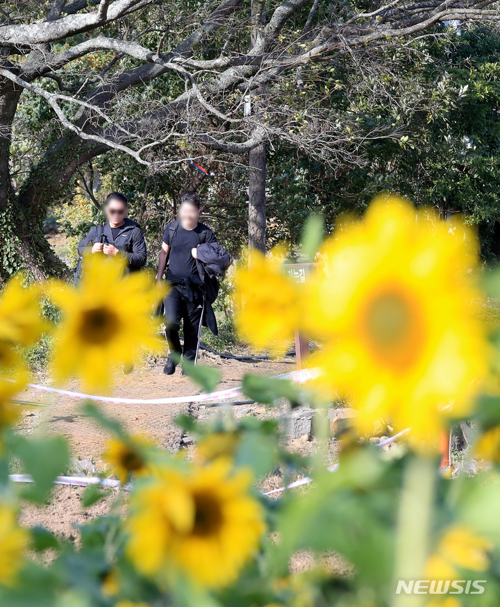 [제주=뉴시스] 우장호 기자 = 겨울비가 내리기 전 포근한 날씨를 보이는 28일 오후 제주시 항몽유적지에 여름꽃인 해바라기가 활짝 피어나 시선을 끌고 있다. 기상청에 따르면 이날 제주시 낮 최고기온은 27.4도를 기록, 관측이 시작된 1923년 이후 11월 중 가장 높은 기온을 나타냈다. 2022.11.28. woo1223@newsis.com