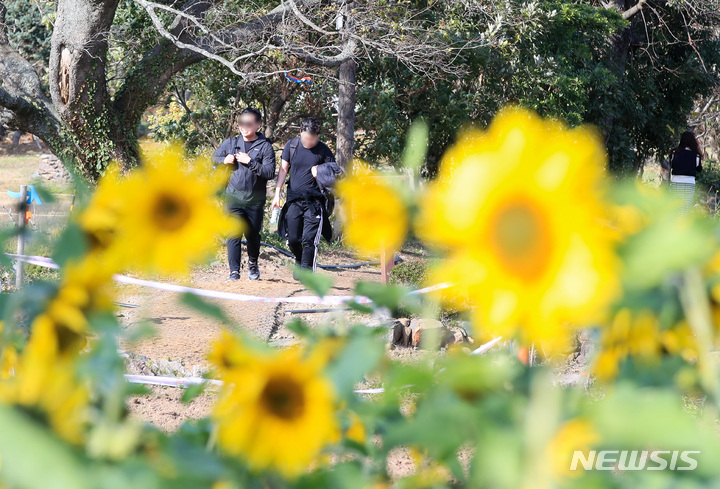 [제주=뉴시스] 우장호 기자 = 겨울비가 내리기 전 포근한 날씨를 보이는 28일 오후 제주시 항몽유적지에 여름꽃인 해바라기가 활짝 피어나 시선을 끌고 있다. 기상청에 따르면 이날 제주시 낮 최고기온은 27.4도를 기록, 관측이 시작된 1923년 이후 11월 중 가장 높은 기온을 나타냈다. 2022.11.28. woo1223@newsis.com