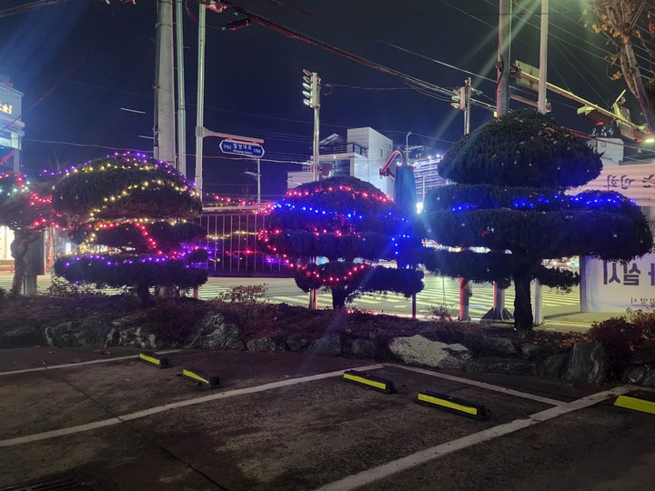 밀양시, "삼문동 청사 역사 속으로 사라져다"...성탄 트리 점등