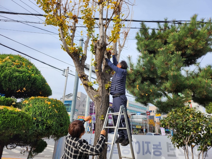 밀양시, "삼문동 청사 역사 속으로 사라져다"...성탄 트리 점등