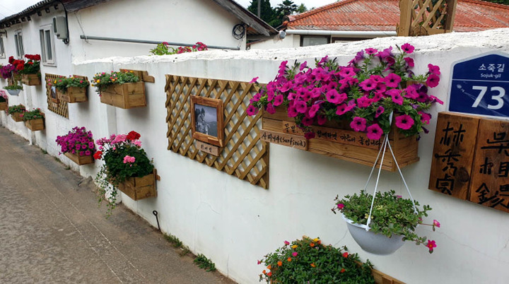 [해남=뉴시스] 전남도가 추진하는 '으뜸마을 가꾸기' 사업으로 화사하게 변신한 해남군 송지면 소죽리 마을 모습. (사진=뉴시스DB) photo@newsis.com *재판매 및 DB 금지