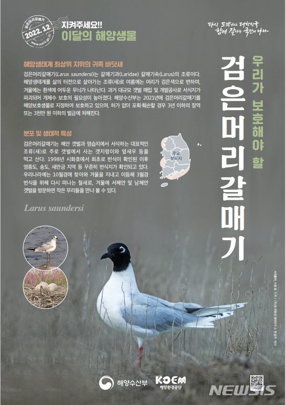 [서울=뉴시스] 12월 해양생물. 