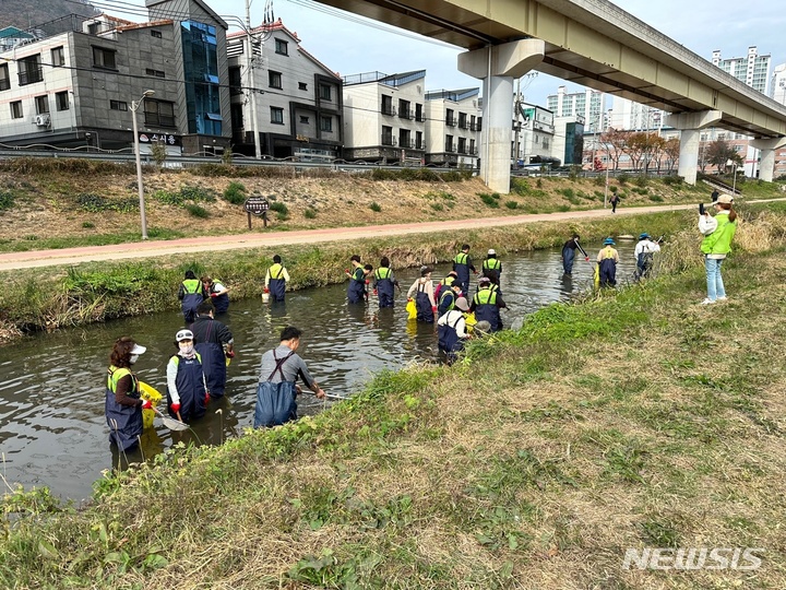 김해 물고기 폐사 조사
