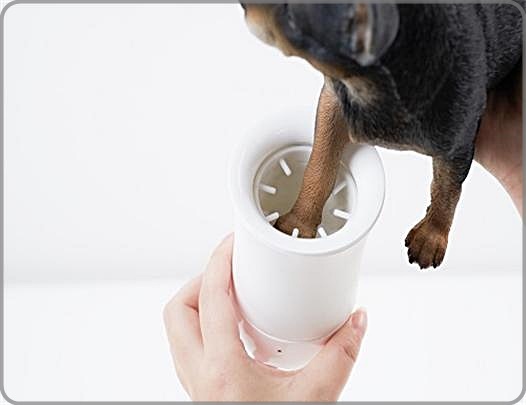 [대전=뉴시스] 30일 열린 '2022 생활발명코리아' 시상식서 대통령상을 수상한 반려견 발케어키트(김현지). *재판매 및 DB 금지