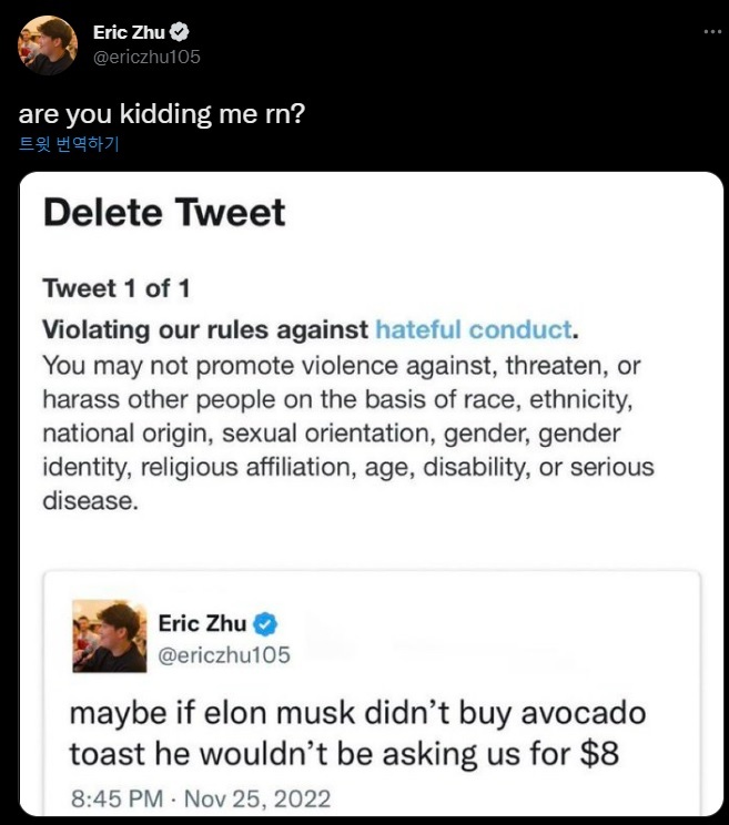 [서울=뉴시스] 소프트웨어 사업가인 에릭 주(15)가 일론 머스크를 비판하는 트윗을 트위터에 남겼다가 삭제되는 일이 있었다고 영국 데일리스타가 29일(현지시간) 보도했다 (사진출처: 트위터 캡처) 2022.11.30. *재판매 및 DB 금지