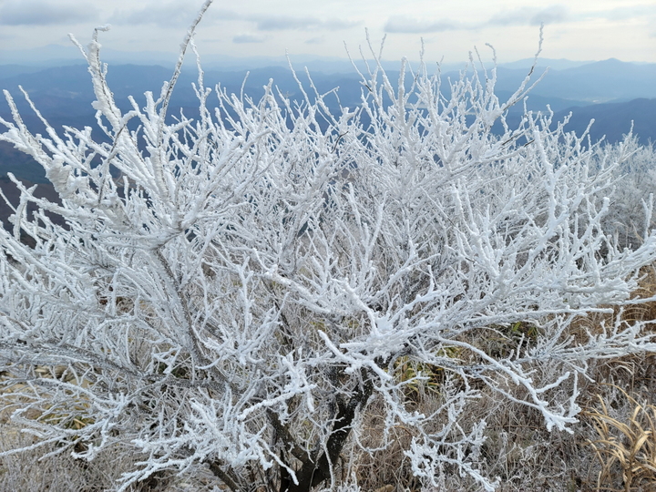 [광주=뉴시스] 김혜인 기자 = 광주 지역 한파특보가 내려진 30일 오전 무등산국립공원 정상부근에 겨울이 오고 있음을 알리는 상고대가 피었다. 2022.11.30.(사진=무등산 국립공원 제공) photo@newsis.com *재판매 및 DB 금지