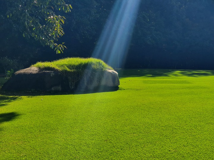 신품종 M45 적용 이미지&nbsp; *재판매 및 DB 금지