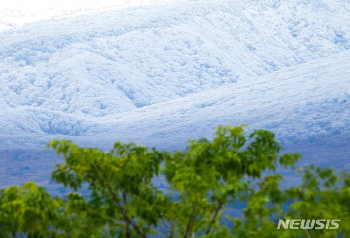 [제주=뉴시스] 우장호 기자 = 매서운 추위가 이어지는 1일 오전 제주 한라산 자락에 얼음꽃으로 불리는 '상고대'가 피어나 아름다운 광경을 선보이고 있다. 2022.12.01. woo1223@newsis.com