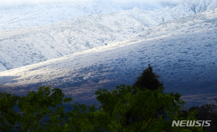 [제주=뉴시스] 우장호 기자 = 매서운 추위가 이어지는 1일 오전 제주 한라산 자락에 얼음꽃으로 불리는 '상고대'가 피어나 아름다운 광경을 선보이고 있다. 2022.12.01. woo1223@newsis.com