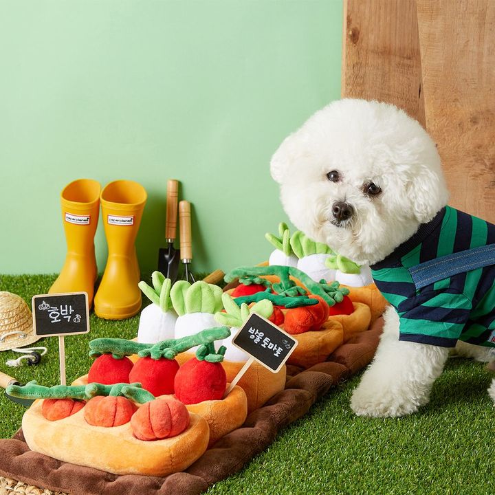 [서울=뉴시스] 펫홀릭 '노즈워크 주말농장'. (사진=펫프렌즈 제공) 2022.12.02. photo@newsis.com *재판매 및 DB 금지